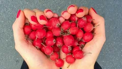 Lo que de verdad funciona para el corazón (y por qué las bayas están en esta lista)